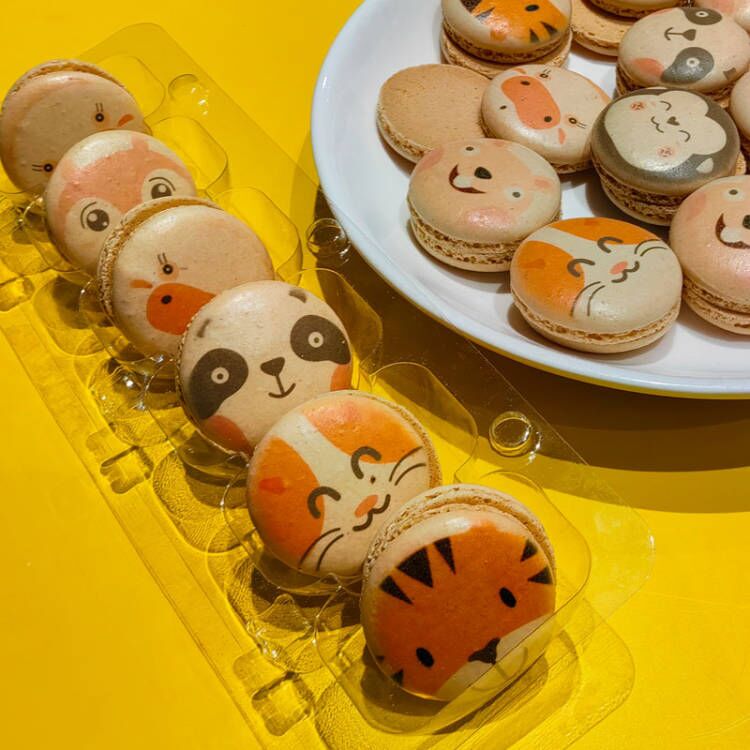 Cute pets are coming,Foodprinttech uses animal macarons to rejuvenate the spring